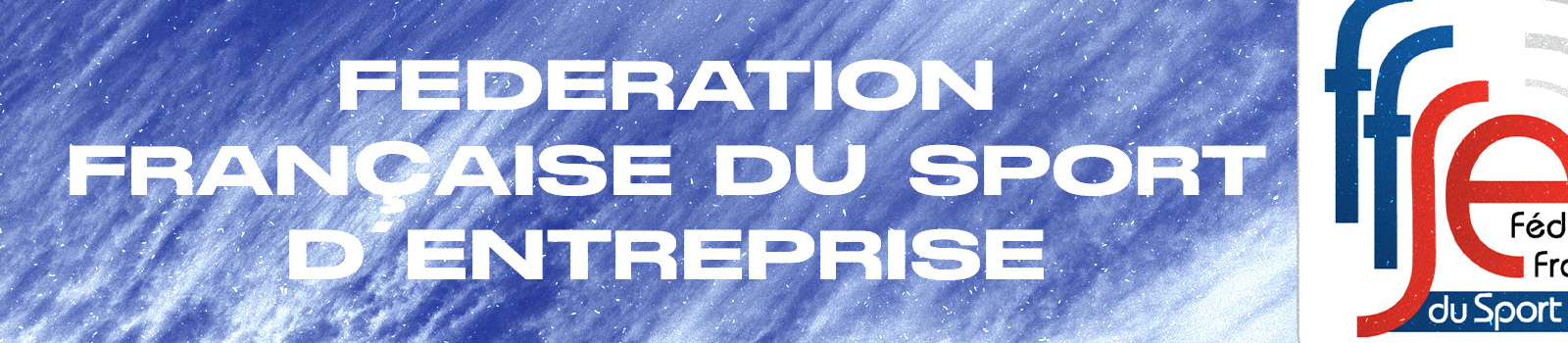 Fédération Française du Sport d'Entreprise
