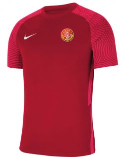Maillot Nike Strike II pour Homme Linas Monthélry CW3544-657