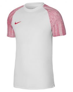 Maillot Nike Academy Blanc pour homme