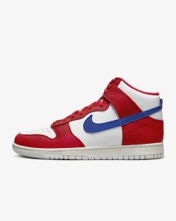 chaussures nike dunk high retro pour homme dx2661 100